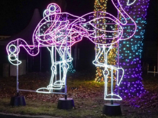 Garden of Lights Garden of Lights