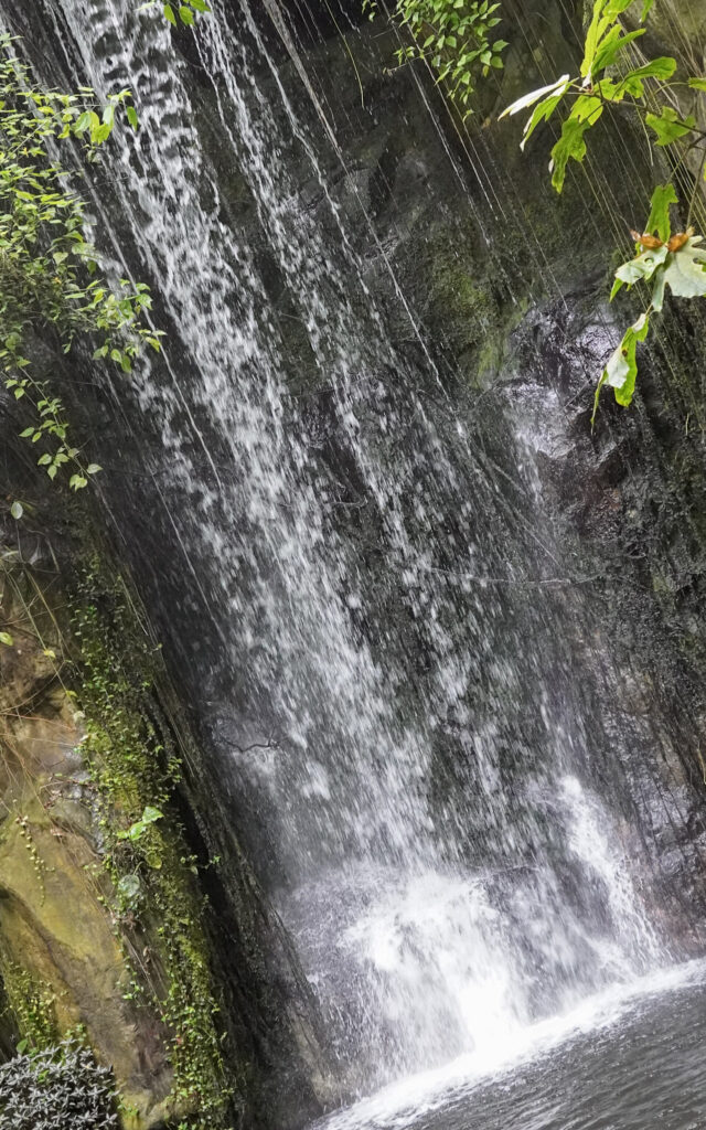 Burgers' Zoo Burgers' Zoo