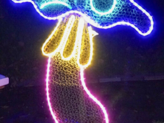 Garden of Lights Garden of Lights