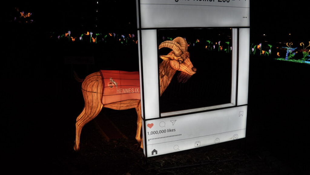 China Lights im K&ouml;lner Zoo