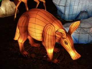 China Lights im K&ouml;lner Zoo