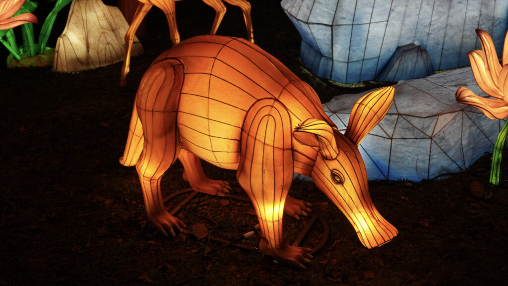 China Lights im K&ouml;lner Zoo