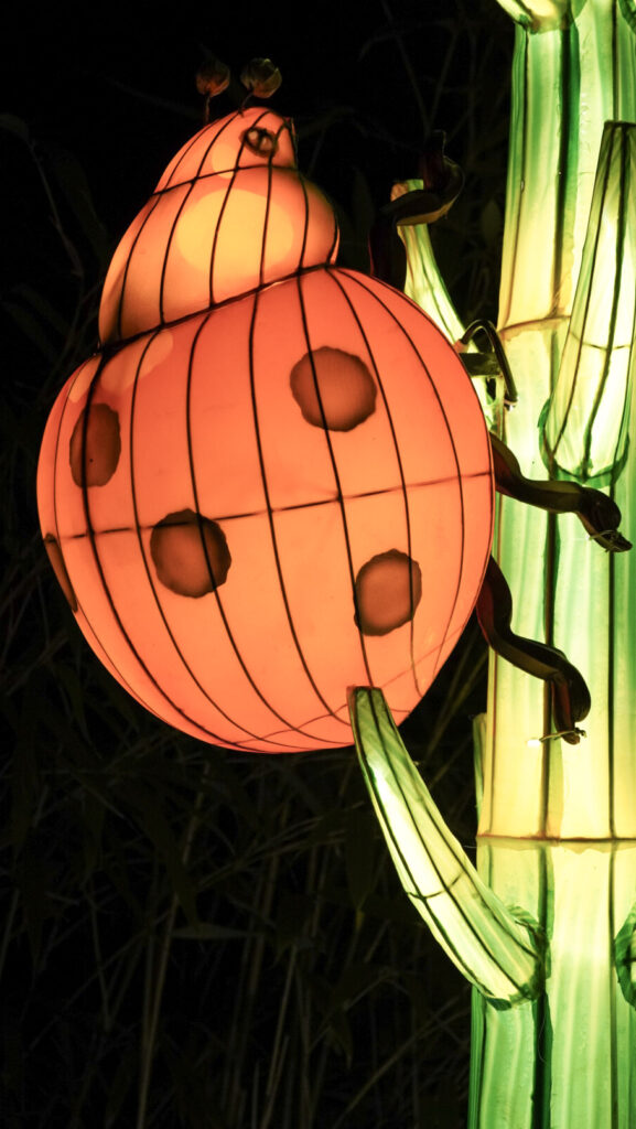 China Lights im K&ouml;lner Zoo