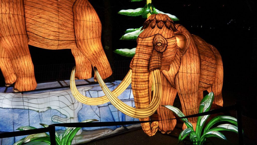 China Lights im K&ouml;lner Zoo