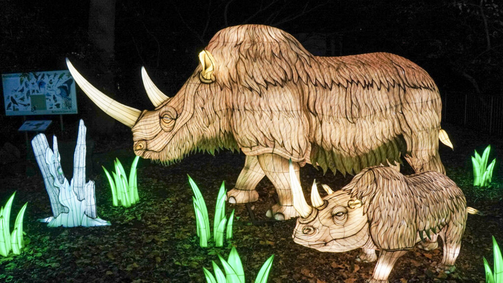 China Lights im K&ouml;lner Zoo