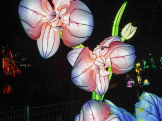 China Lights im K&ouml;lner Zoo