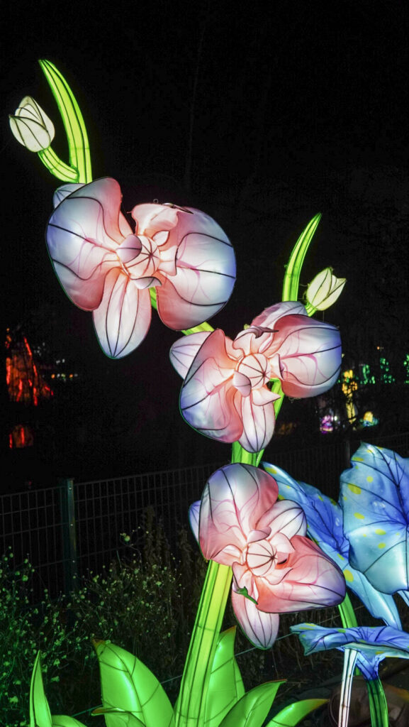 China Lights im K&ouml;lner Zoo