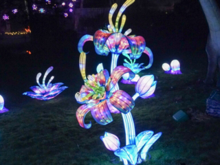 China Lights im K&ouml;lner Zoo