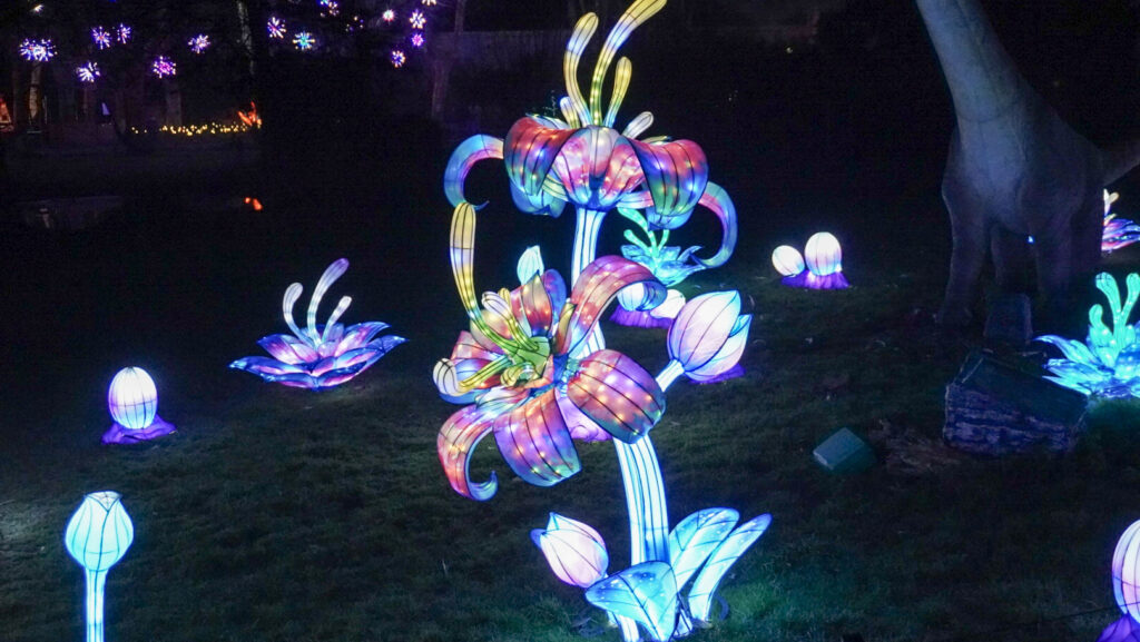 China Lights im K&ouml;lner Zoo