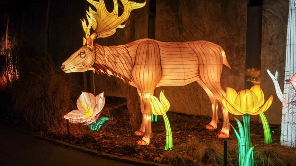 China Lights im K&ouml;lner Zoo