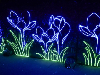 China Lights im K&ouml;lner Zoo