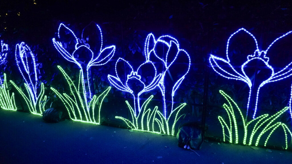 China Lights im K&ouml;lner Zoo