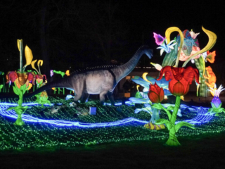 China Lights im K&ouml;lner Zoo