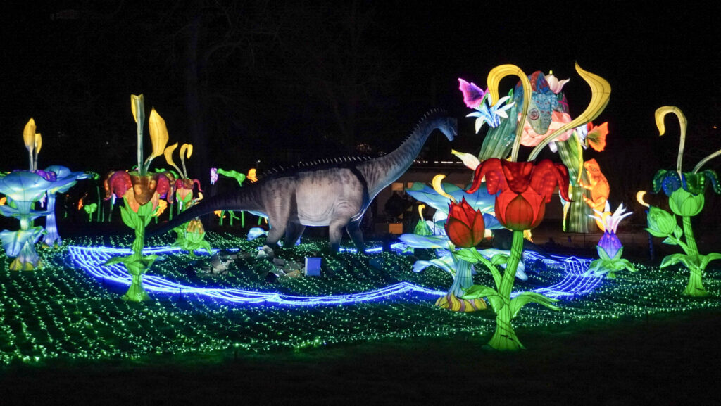 China Lights im K&ouml;lner Zoo