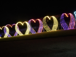 Garden of Lights Garden of Lights