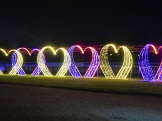 Garden of Lights Garden of Lights