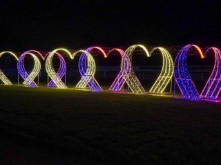 Garden of Lights Garden of Lights