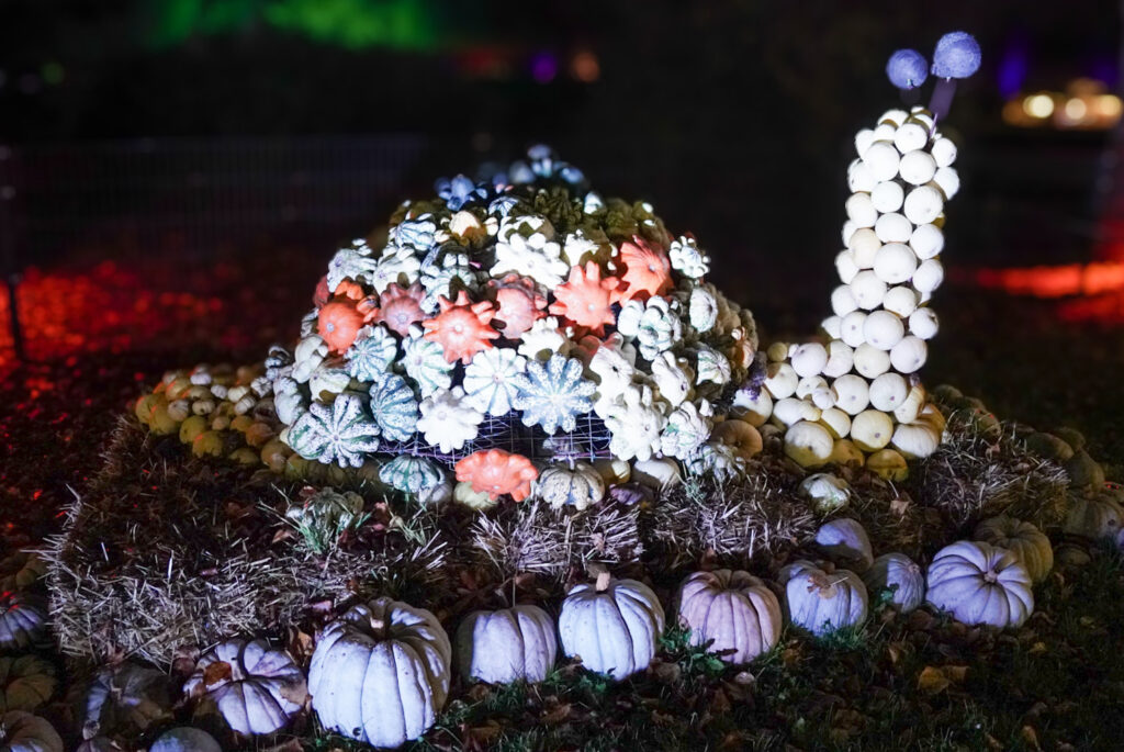 Herbstlichter Br&uuml;ckenkopfpark J&uuml;lich