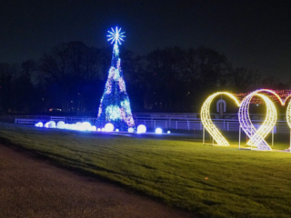 Garden of Lights Garden of Lights