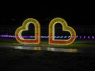 Garden of Lights Garden of Lights