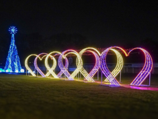 Garden of Lights Garden of Lights