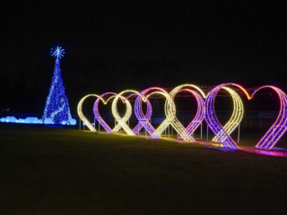Garden of Lights Garden of Lights