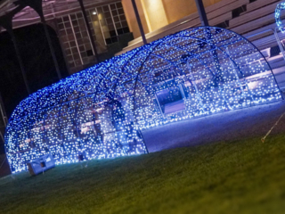 Garden of Lights Garden of Lights
