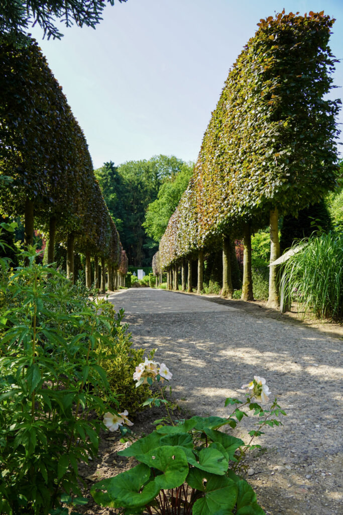 El Mundo Fantasia - Mondo Verde