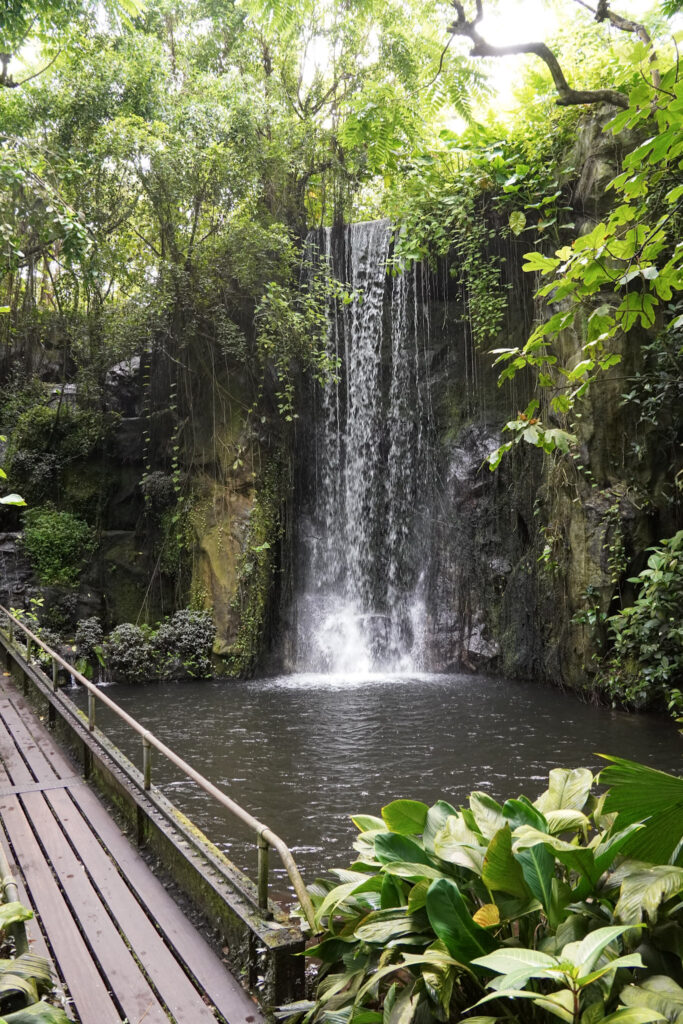 Burgers' Zoo Burgers' Zoo