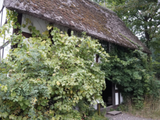 Zeitblende 1975 - Freilichtmuseum Kommern
