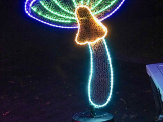 Garden of Lights Garden of Lights