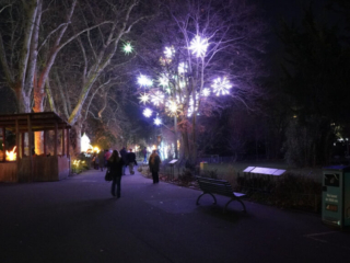 China Lights im K&ouml;lner Zoo