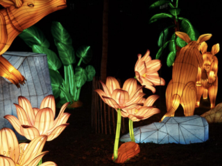 China Lights im K&ouml;lner Zoo