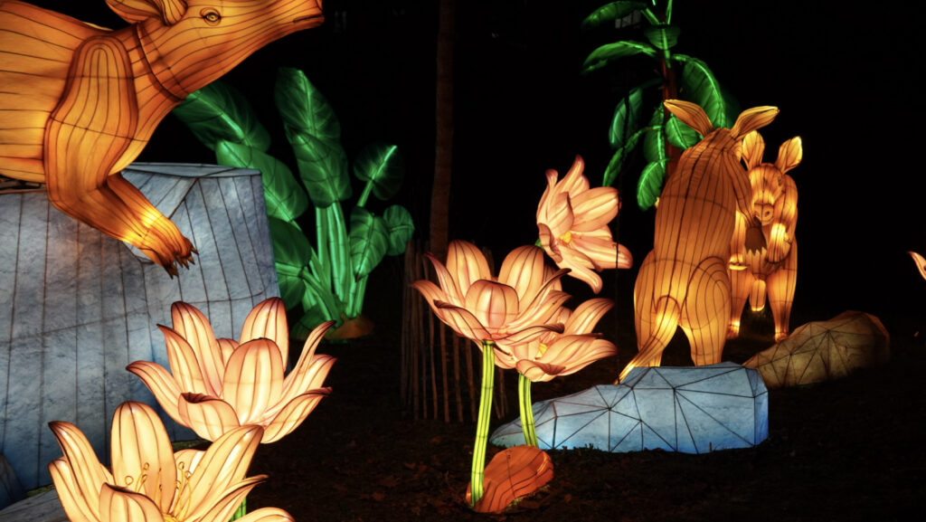 China Lights im K&ouml;lner Zoo