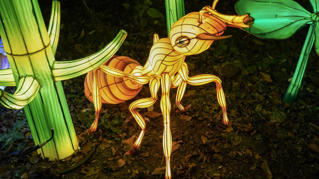 China Lights im K&ouml;lner Zoo