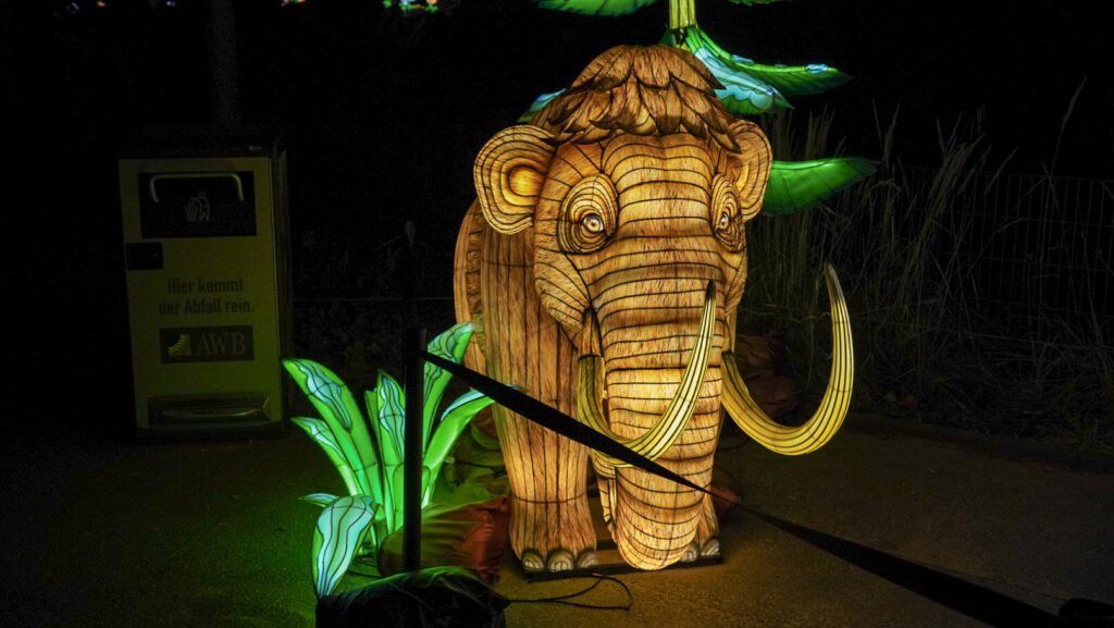 China Lights im K&ouml;lner Zoo