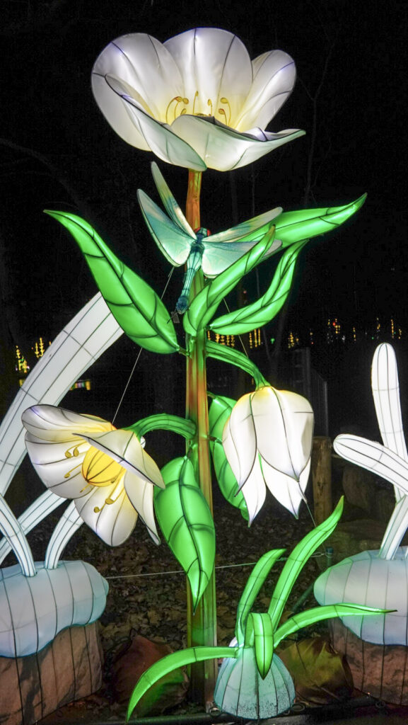 China Lights im K&ouml;lner Zoo