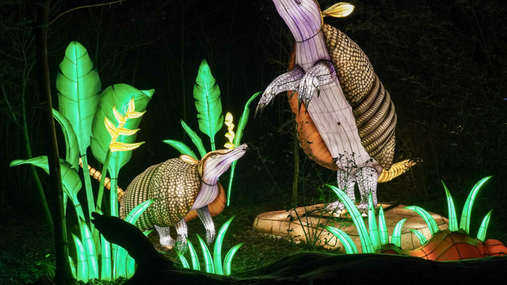 China Lights im K&ouml;lner Zoo