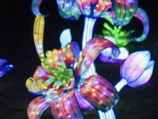 China Lights im K&ouml;lner Zoo