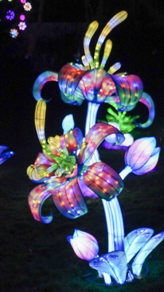 China Lights im K&ouml;lner Zoo