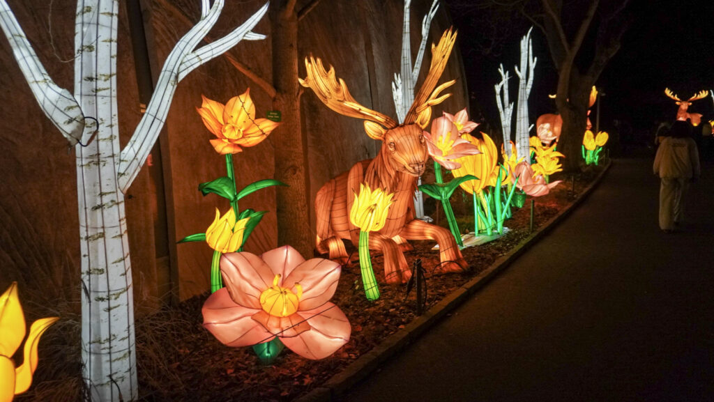 China Lights im K&ouml;lner Zoo