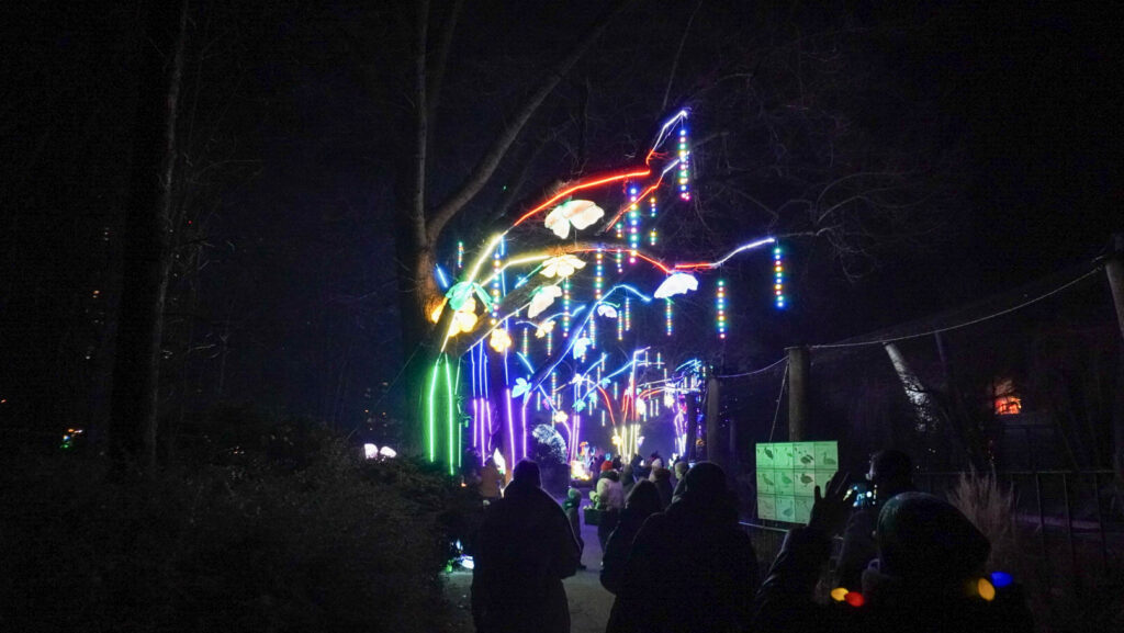 China Lights im K&ouml;lner Zoo