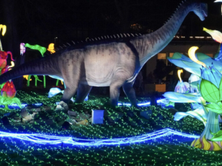 China Lights im K&ouml;lner Zoo