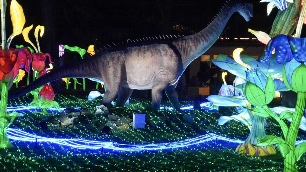 China Lights im K&ouml;lner Zoo