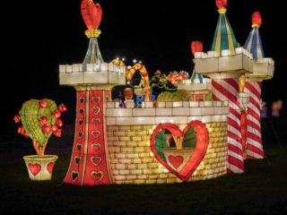 Garden of Lights Garden of Lights