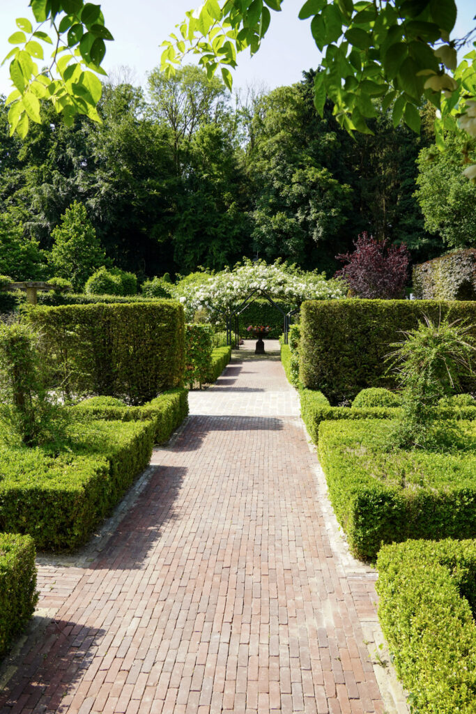 El Mundo Fantasia - Mondo Verde