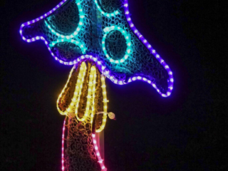 Garden of Lights Garden of Lights