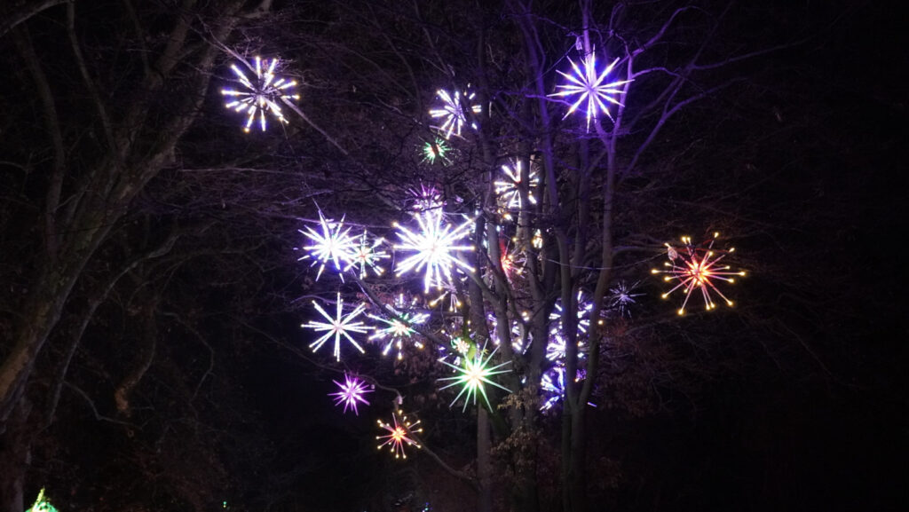 China Lights im K&ouml;lner Zoo