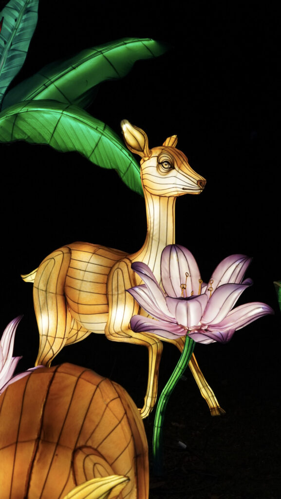 China Lights im K&ouml;lner Zoo