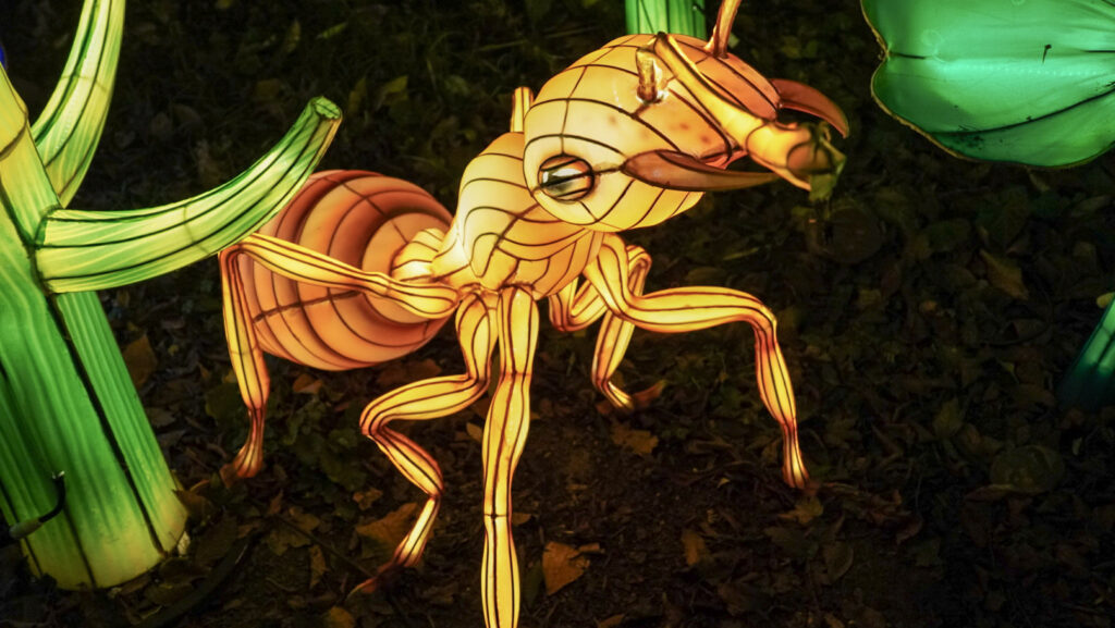 China Lights im K&ouml;lner Zoo